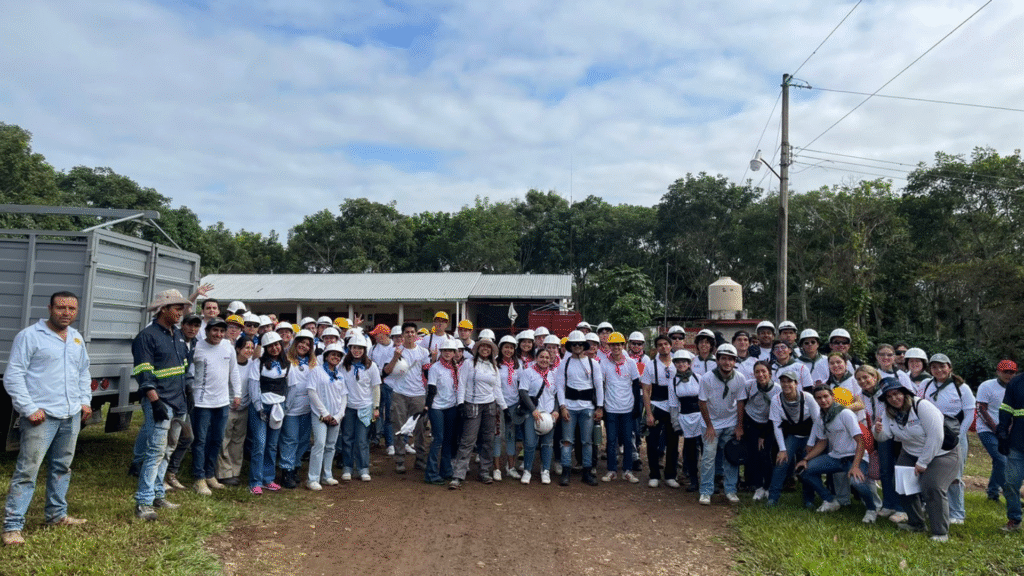 Fotos Voluntariado mayo 2025